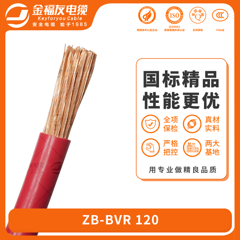 金福友產(chǎn)品-6.24-ZB-BVR-120