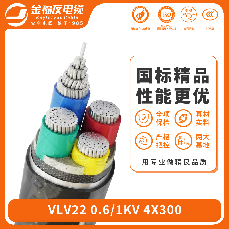 金福友產(chǎn)品-6.20-VLV22-0.6-1kV-4X300