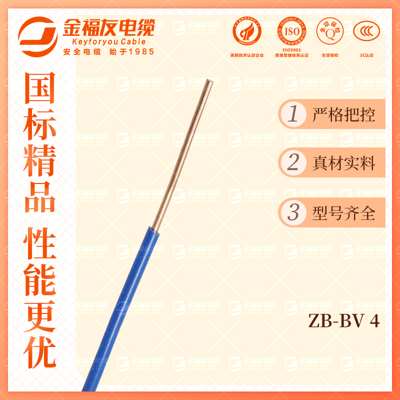 金福友產品-10.9-ZB-BV-4