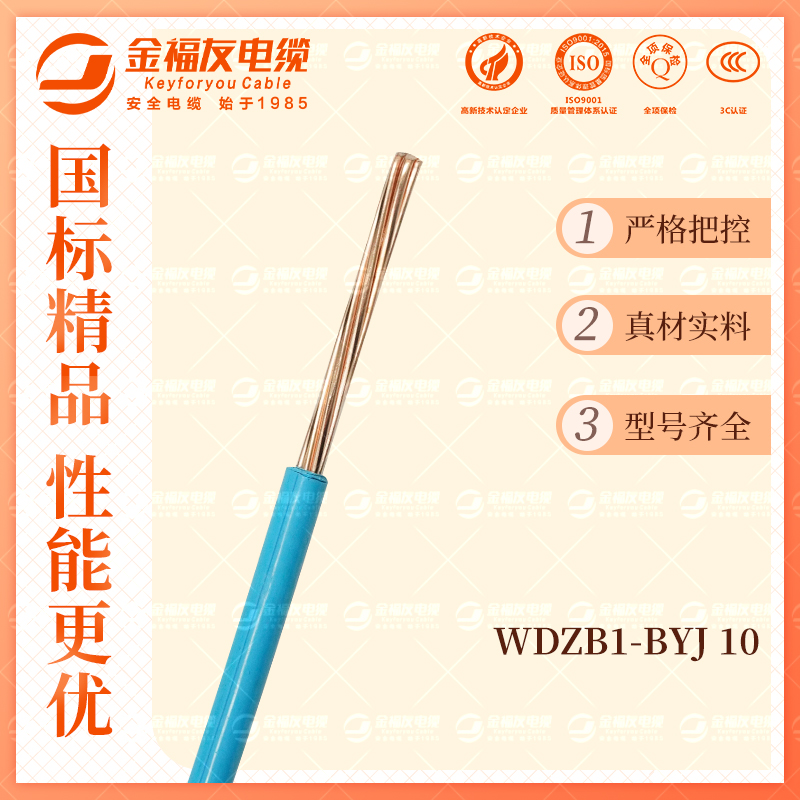 金福友產(chǎn)品-10.9-WDZB1-BYJ-10