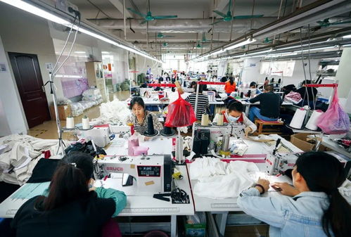 SHEIN為何能如此迅速？探索其速度背后的攝影擴印服務